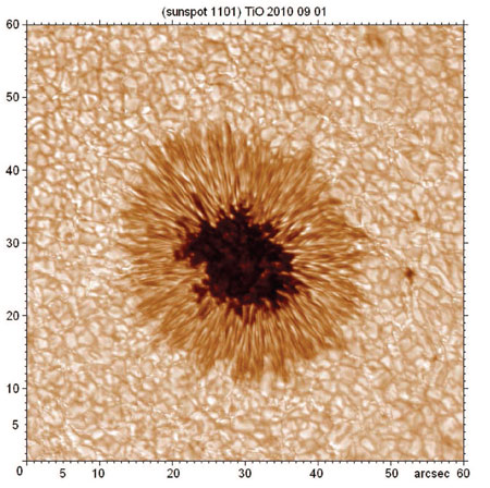 (sunspot 1101) TIO 2010 09 01